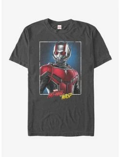 Marvel Ant-Man And The Wasp Frame T-Shirt