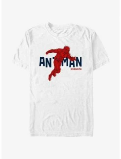 Marvel Ant-Man Text Pop Ant-Man T-Shirt