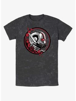 Marvel Ant-Man And The Wasp: Quantumania Ant Stamp Mineral Wash T-Shirt