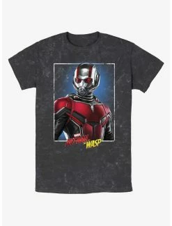 Marvel Ant-Man And The Wasp: Quantumania Ant-Man Portrait Mineral Wash T-Shirt