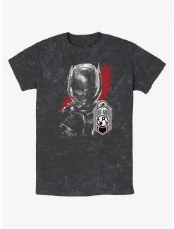 Marvel Ant-Man And The Wasp: Quantumania Ant-Man Tag Mineral Wash T-Shirt