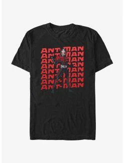 Marvel Ant-Man And The Wasp: Quantumania Action Pose T-Shirt